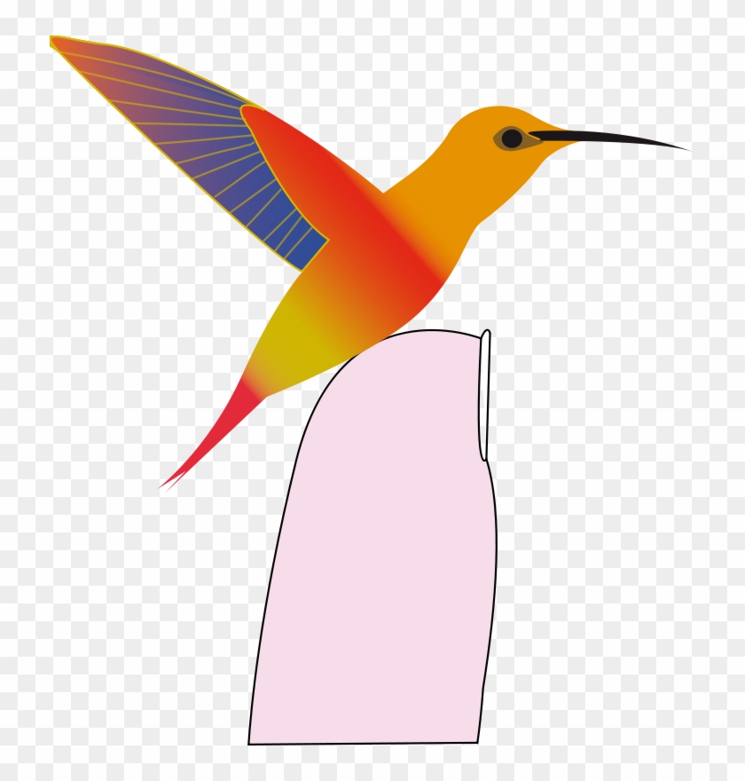 Free Hummingbird - Colorful Hummingbird King Duvet #275834
