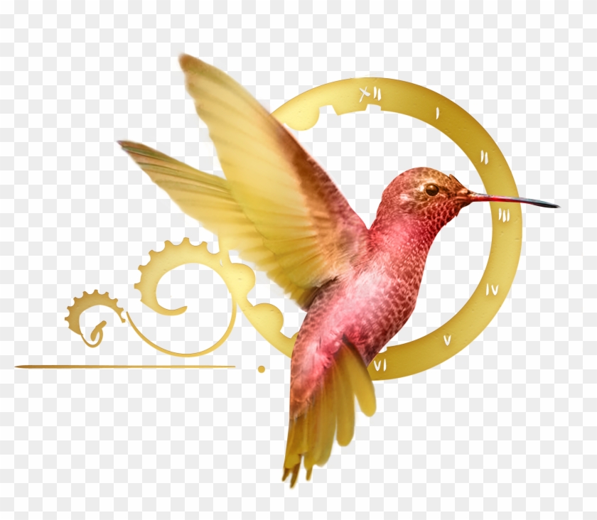 I've Been Enjoying The Summit Webinars These 5 Days - Rufous Hummingbird #275939