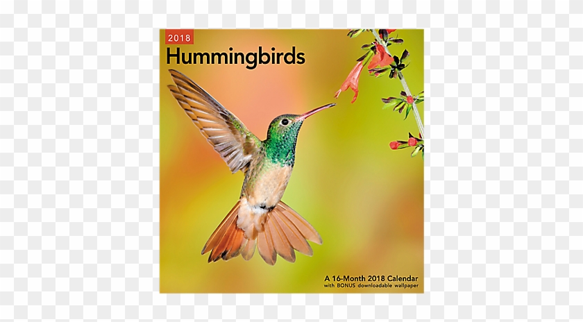 Hummingbirds Wall Calendar - Hummingbirds Calendars By Day Dream - Hummingbirds #276002