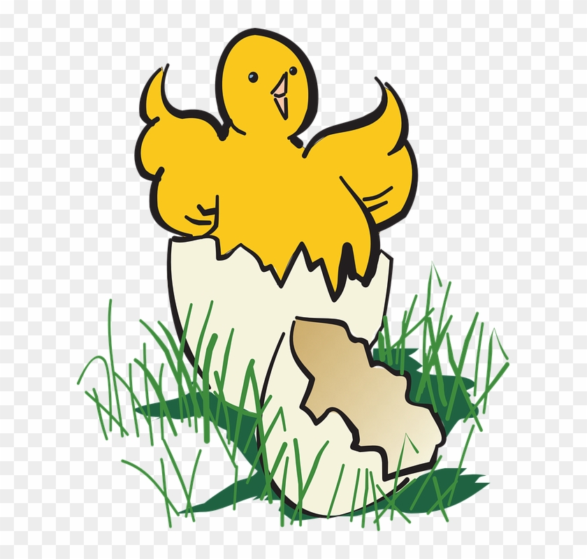 Baby Bird Clipart 23, - Hatch Clipart #276415