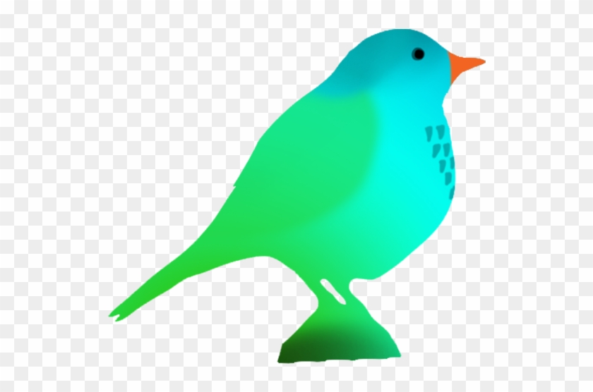 Drawings Of Birds - Transparent Colorful Birds #276484