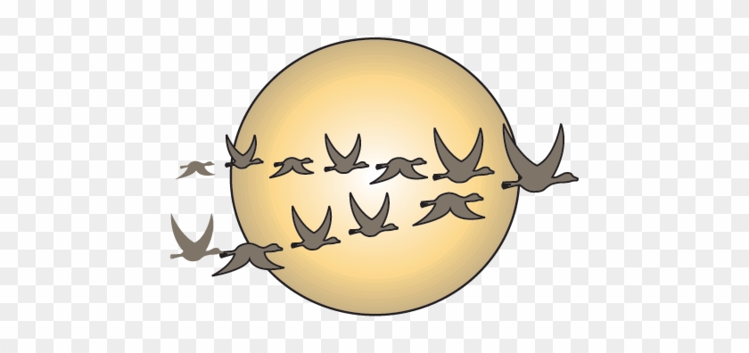 The Cat In The Hat Has A Migration Game For You From - Bird Migration Clipart #276897