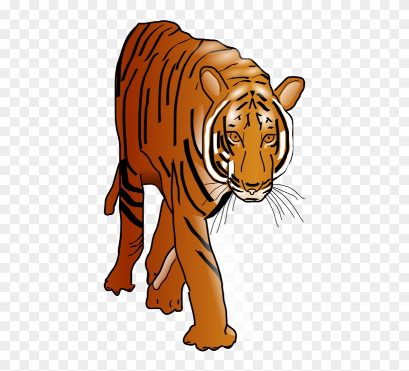 Color Tiger Clip Art At Clker Com Vector Clip Art Online - Tiger Clipart #277436