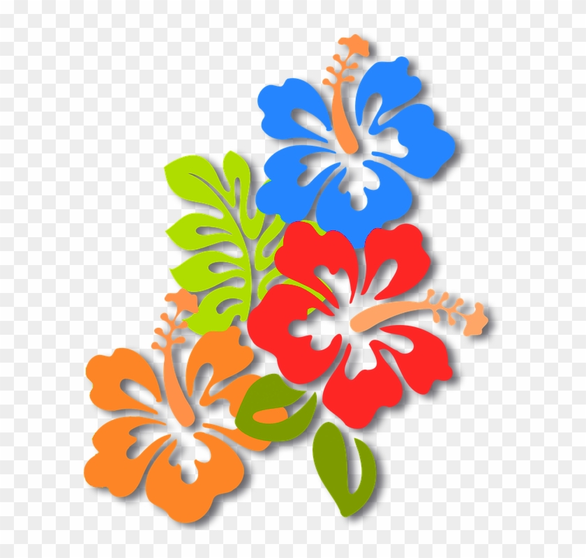 In That Case, It Was An Operator Of The Site - Hawaiian Hibiscus #278203