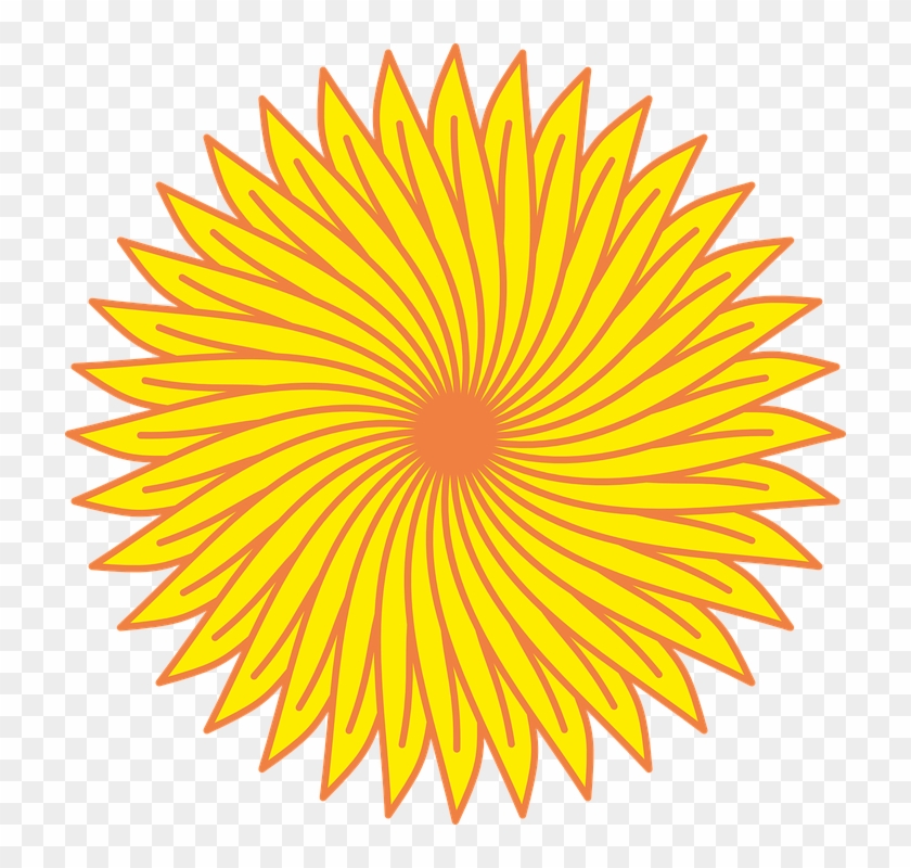 Sunflower Line Art 10, Buy Clip Art - Fraternal Order Of Police #278227