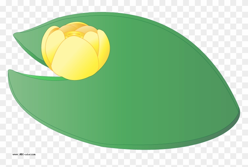 Water Lily Leaf Clipart - Water Lilies #278826