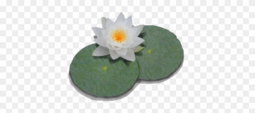 Lily Pad Template 9, Buy Clip Art - Lily Pond #278909