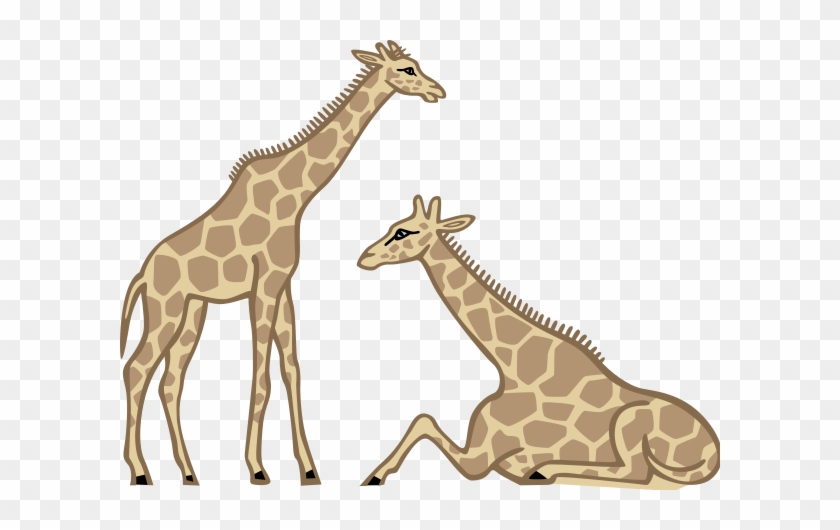 Giraffes Png Images - Giraffe Sitting Clip Art #278933