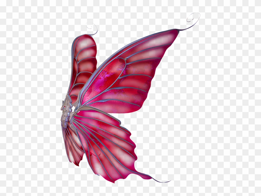Man - Alas De Mariposa Png #279196
