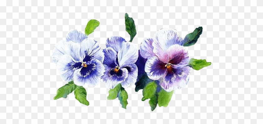 Pansies, Art Flowers, Vintage Cards, Wedding Invitation, - Bon Week End #279993