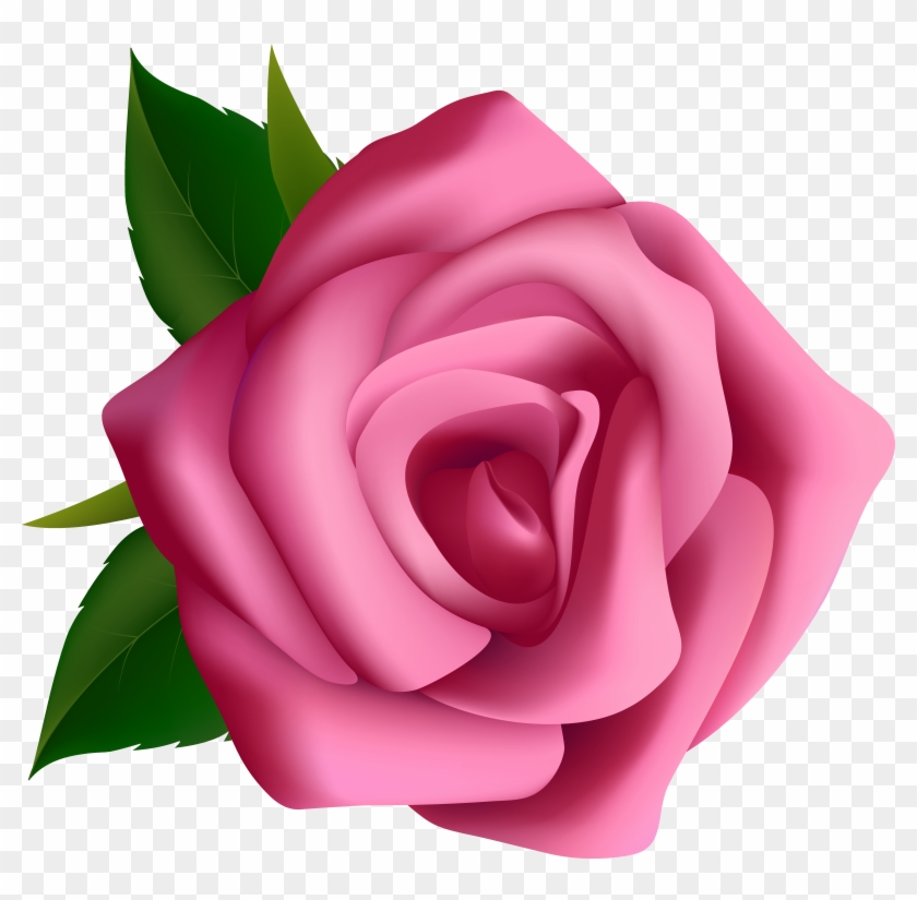 Pink Rose Clip Art Png - Clip Art #280434