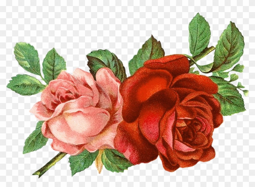 Pink Roses Clipart - Bunga Clipart #280536