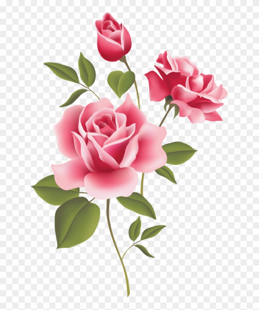 Pink Rose Borders - Pink Rose Clip Art Border #280611