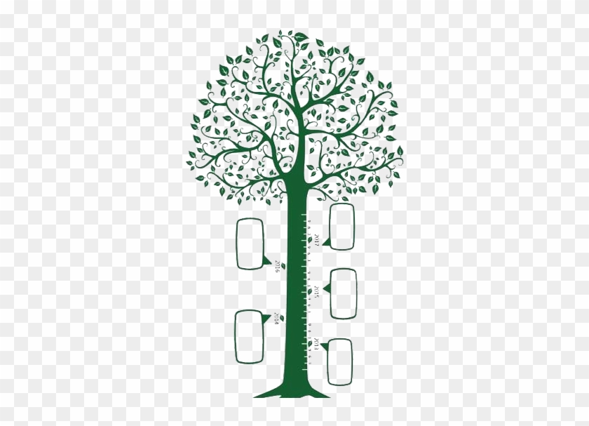 Tree Photography Clip Art - Tree Photography Clip Art #281156