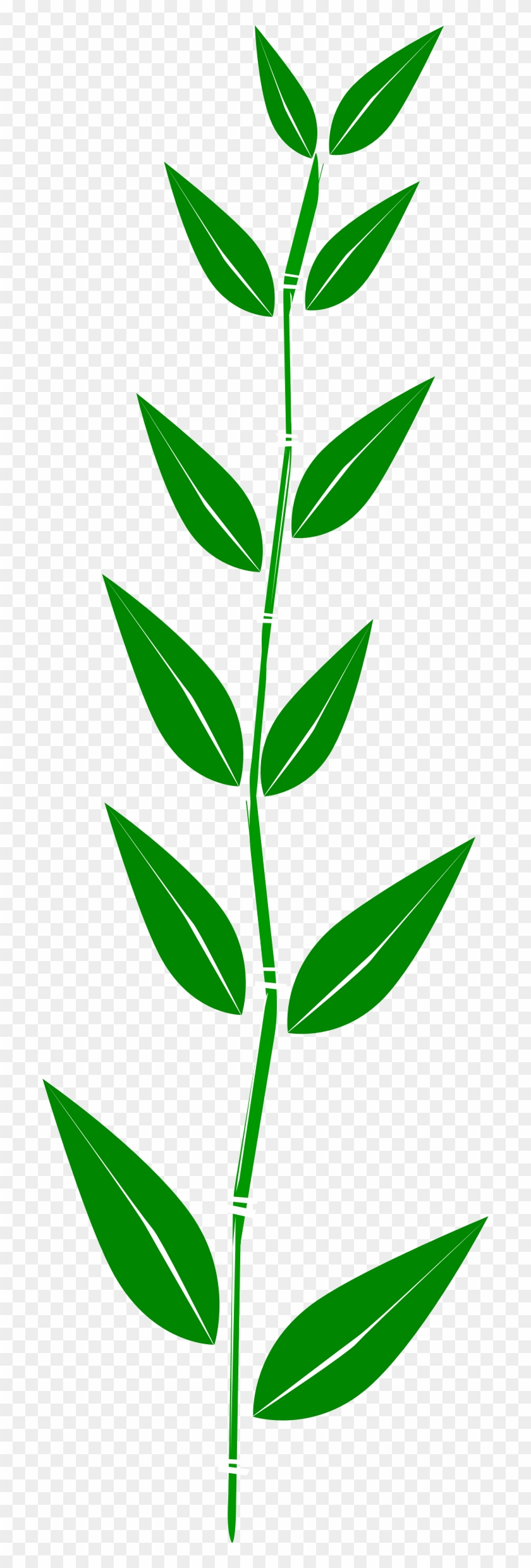 Leaf - Clipart - Bamboo Leaf Clipart #281282