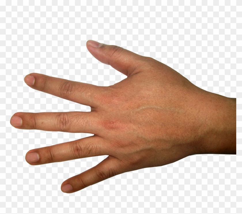 Images Of Hands - Sign Language #283246
