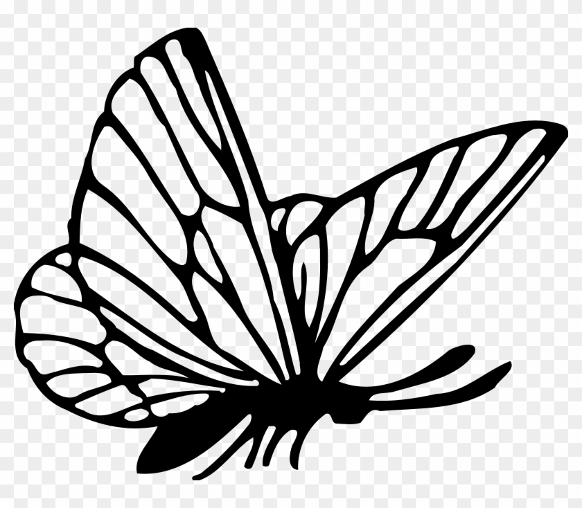 Picture - Kupu Vector #283712