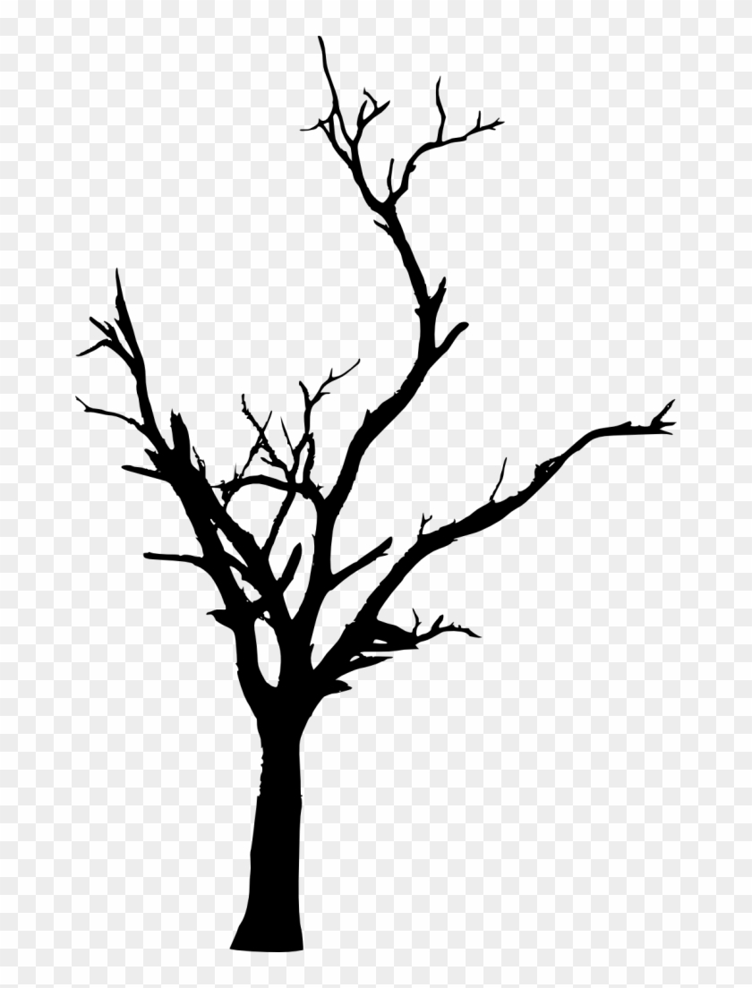 418 × 1500 Px - Tree #284462