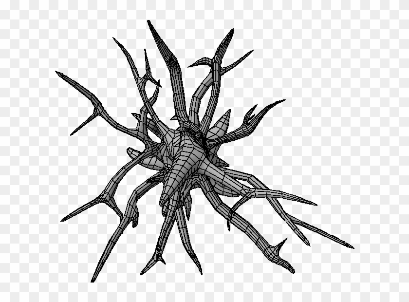 Dead Tree Top Topology - Dead Tree Top Topology #284567