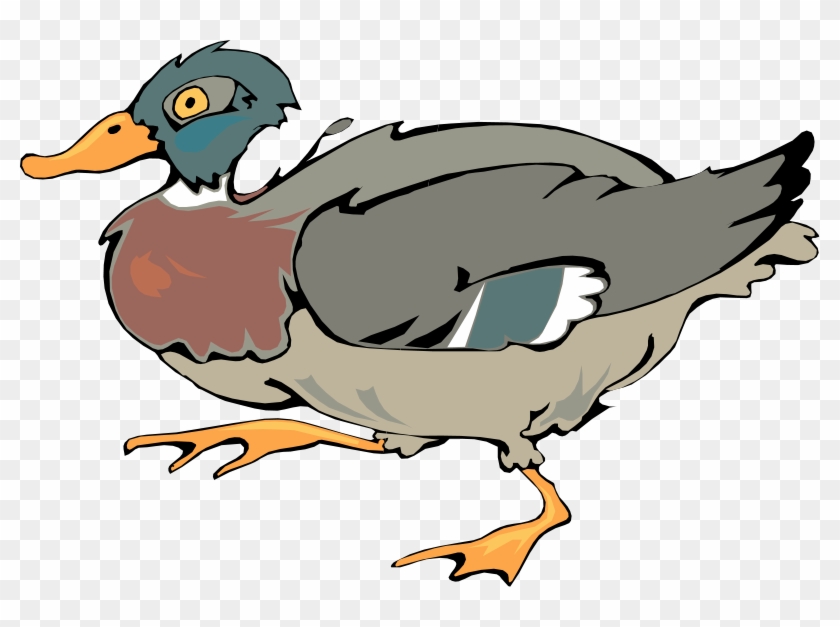 Free Vector Bird - Iron-on #284717