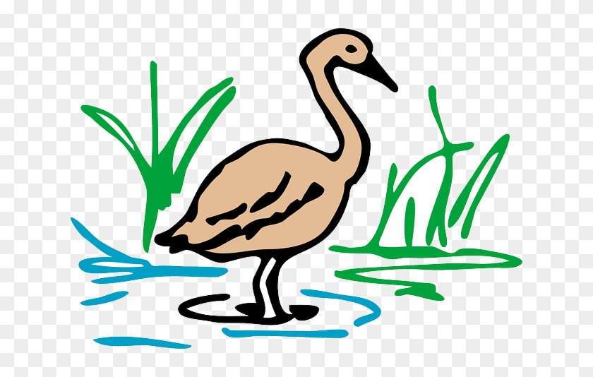 Brown, Drawing, Light, Duck, Grass, Color - Duck Drawing In Color #284824