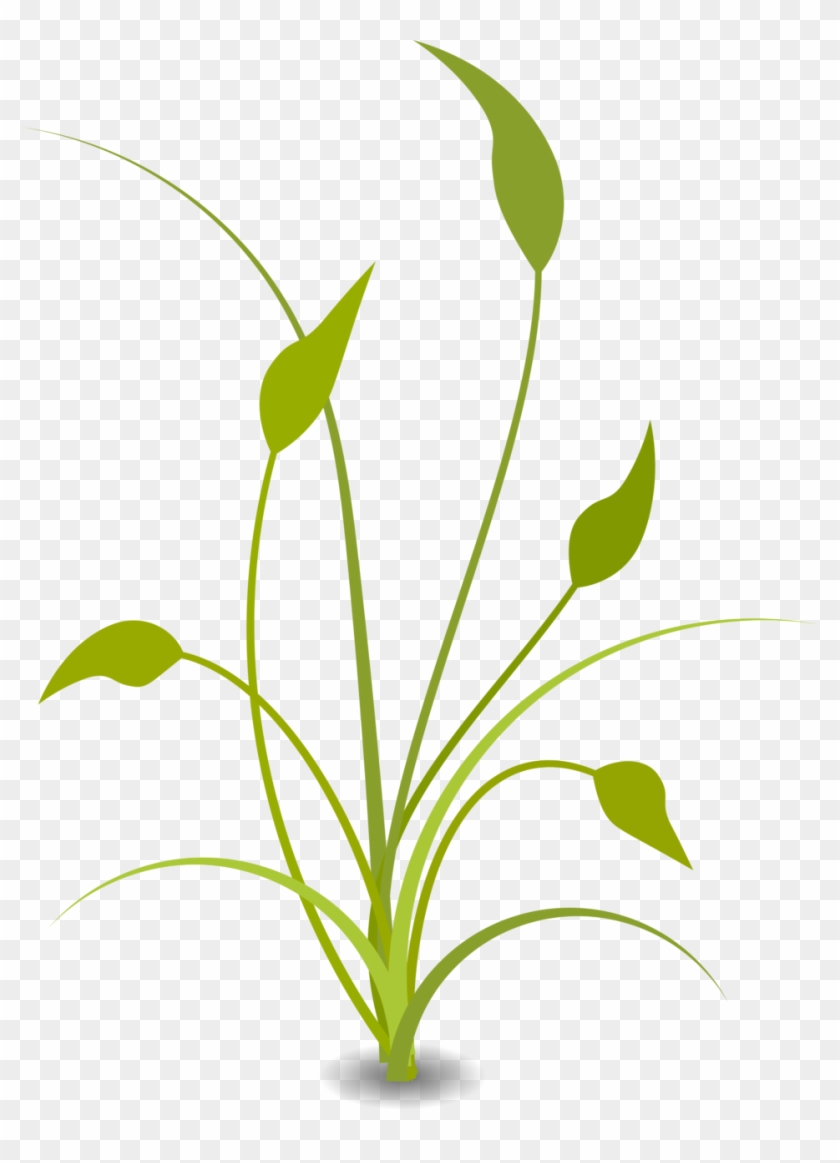 Free Flowers Clipart 16, Buy Clip Art - Spiritual Clipart #284826