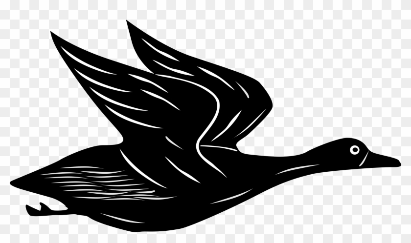 Flying Duck Clip Art - Cartoon Flying Duck Gif #284846