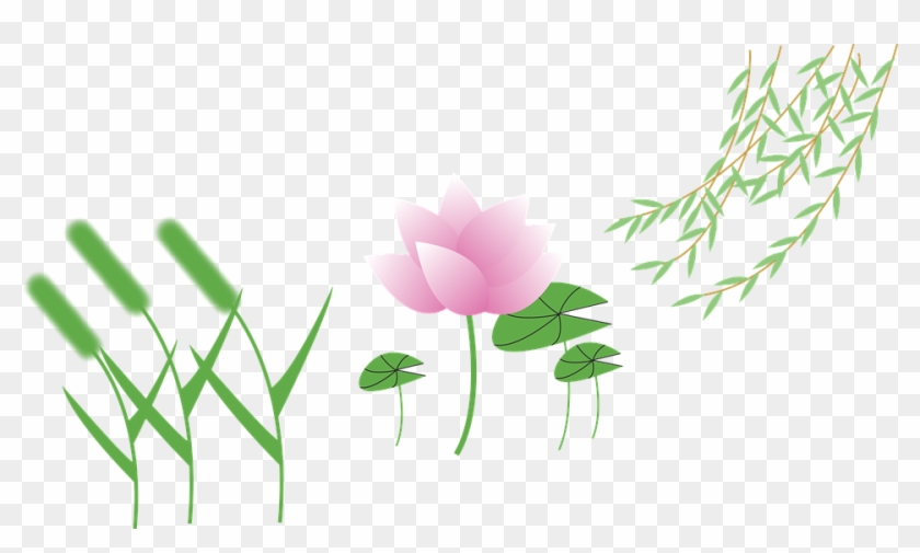 Cartoon Lotus Flower - Clip Art #285346
