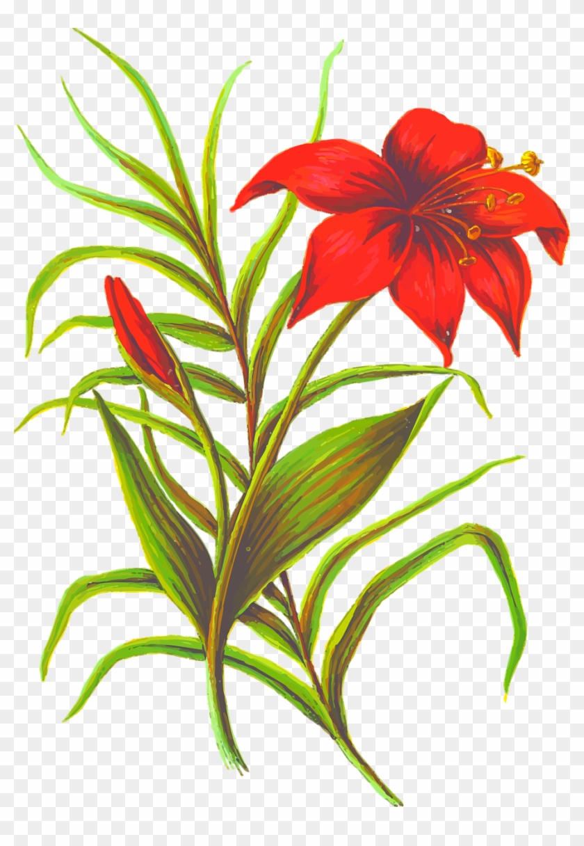The Best - Silhouette Flower Png #285671