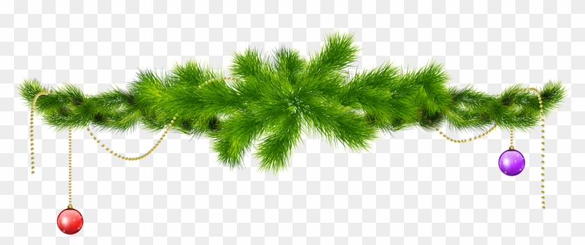 Transparent Pine Branch With Pine Cones Png Clipartu200b - Christmas Tree Branch Png #285825