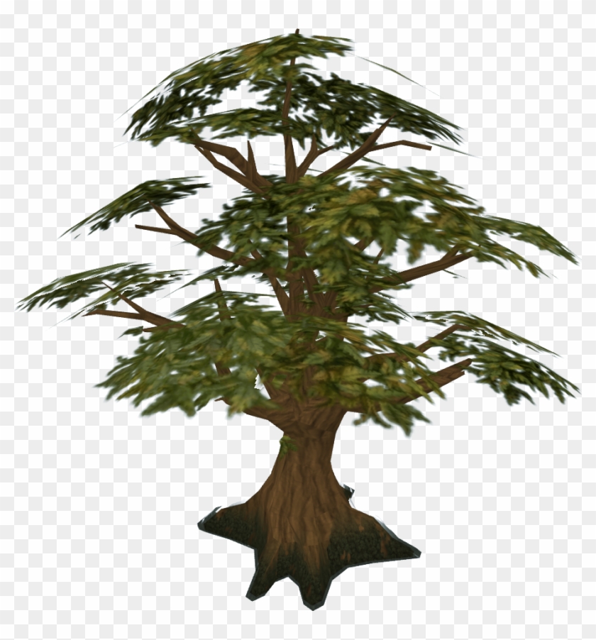 Pine Tree Clipart Swamp Tree - Runescape Oak Tree #286047