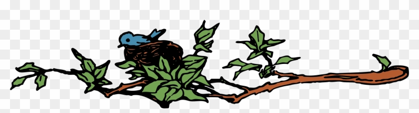 Bird's Nest Clipart Bird Nest - Bird Nest In Branch #286255