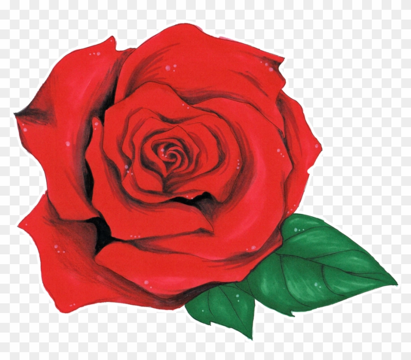 Rose By Olsikowa On Deviantart - Olsikowa Róża #286944