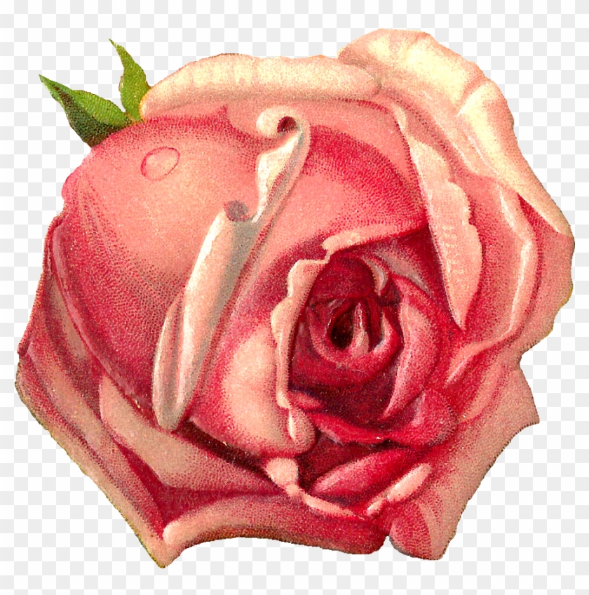 Rose Graphic Cliparts - Planner Pom Pom Charm - Key Chain - Bag Charm - Purse #286964