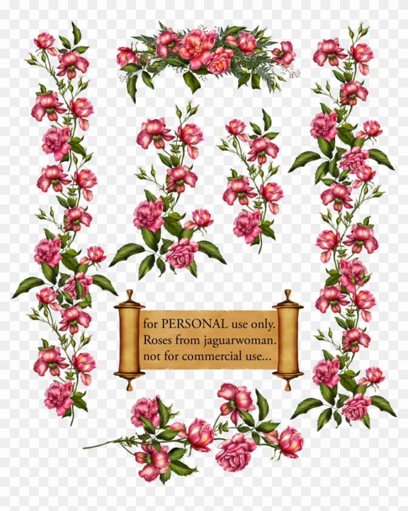Rose Bush Clipart Rose Vines - Roses Vines Png #287118