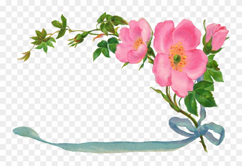 Vintage Flower Transparents Clipart Free - Aşk-ı Mesnevi Yason Yayıncılık #287253