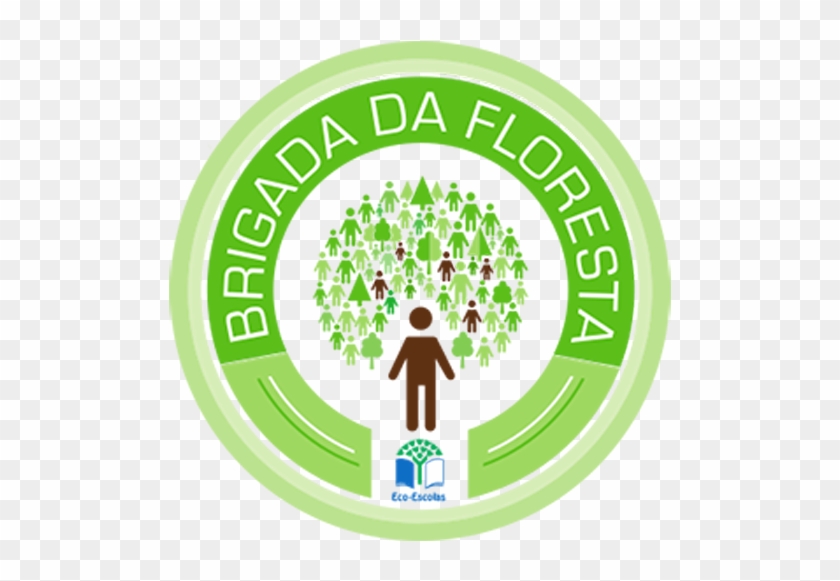 Brigada Da Floresta - Notre Dame Plymouth #287916