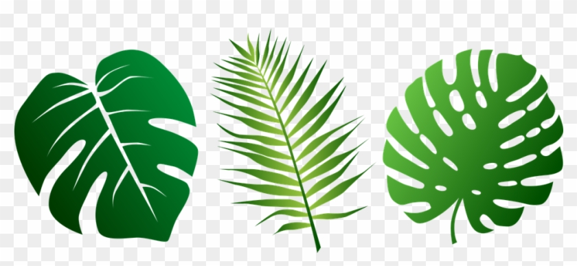 Free Luau Clipart 18, Buy Clip Art - Jungle Leaves Png #288740