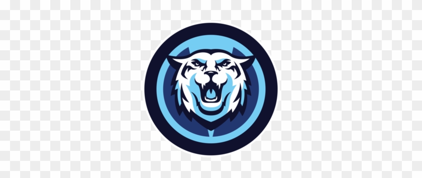 Chorus - Vu Hoops Logo #288754