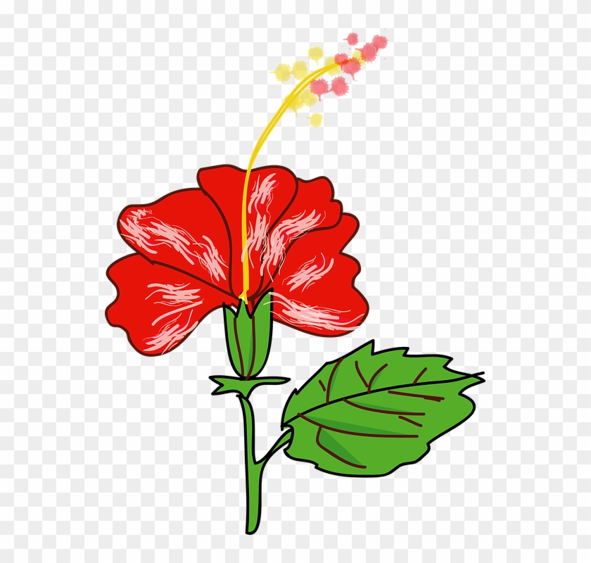 Tropical Flowers Cliparts 19, - Gumamela Clipart #289267
