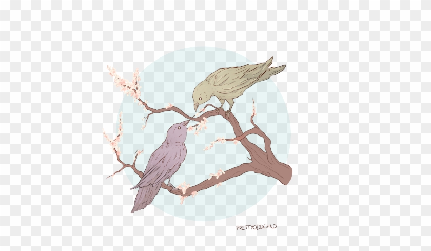 “ Drew More Bbrae Today As A Warmup Doodle ” - Bird #289905