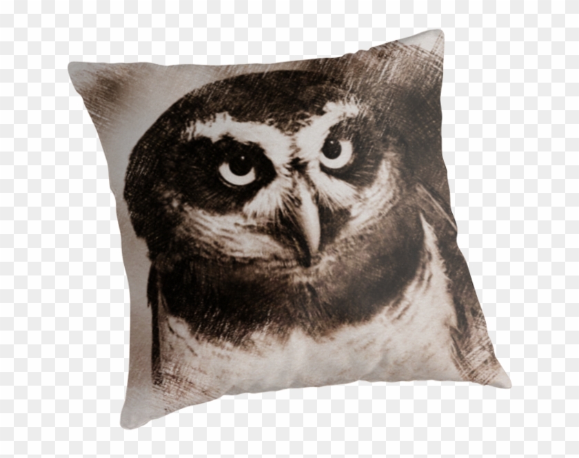 Owl Sketch 05 By Fantasytripp - Cushion #290059