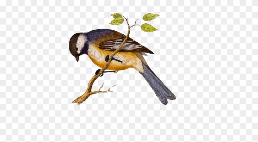 Αποτέλεσμα Εικόνας Για Для Детей - Bird In Ceramic Tile #290122