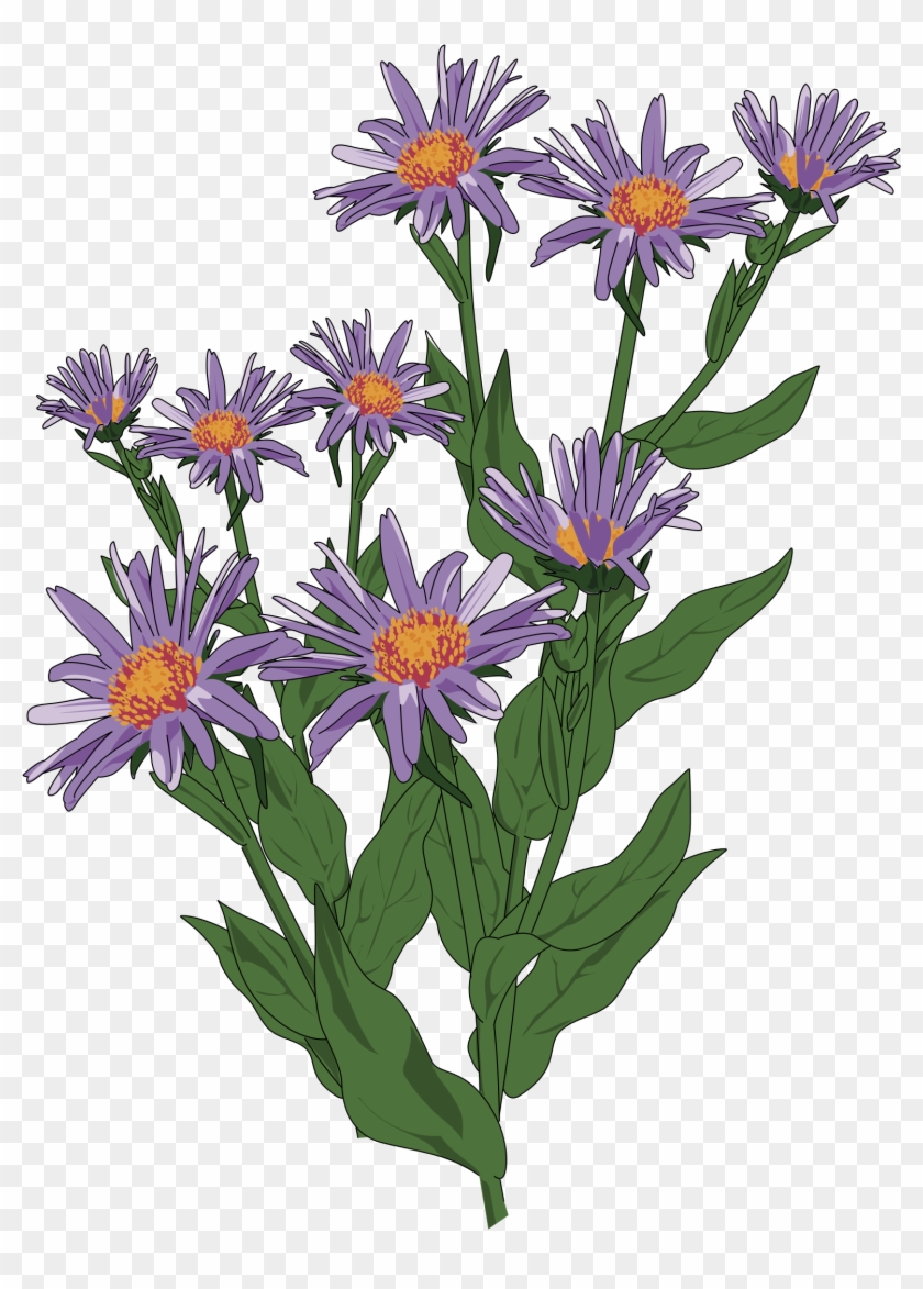 Clipart - - Wild Flower Clip Art #290194