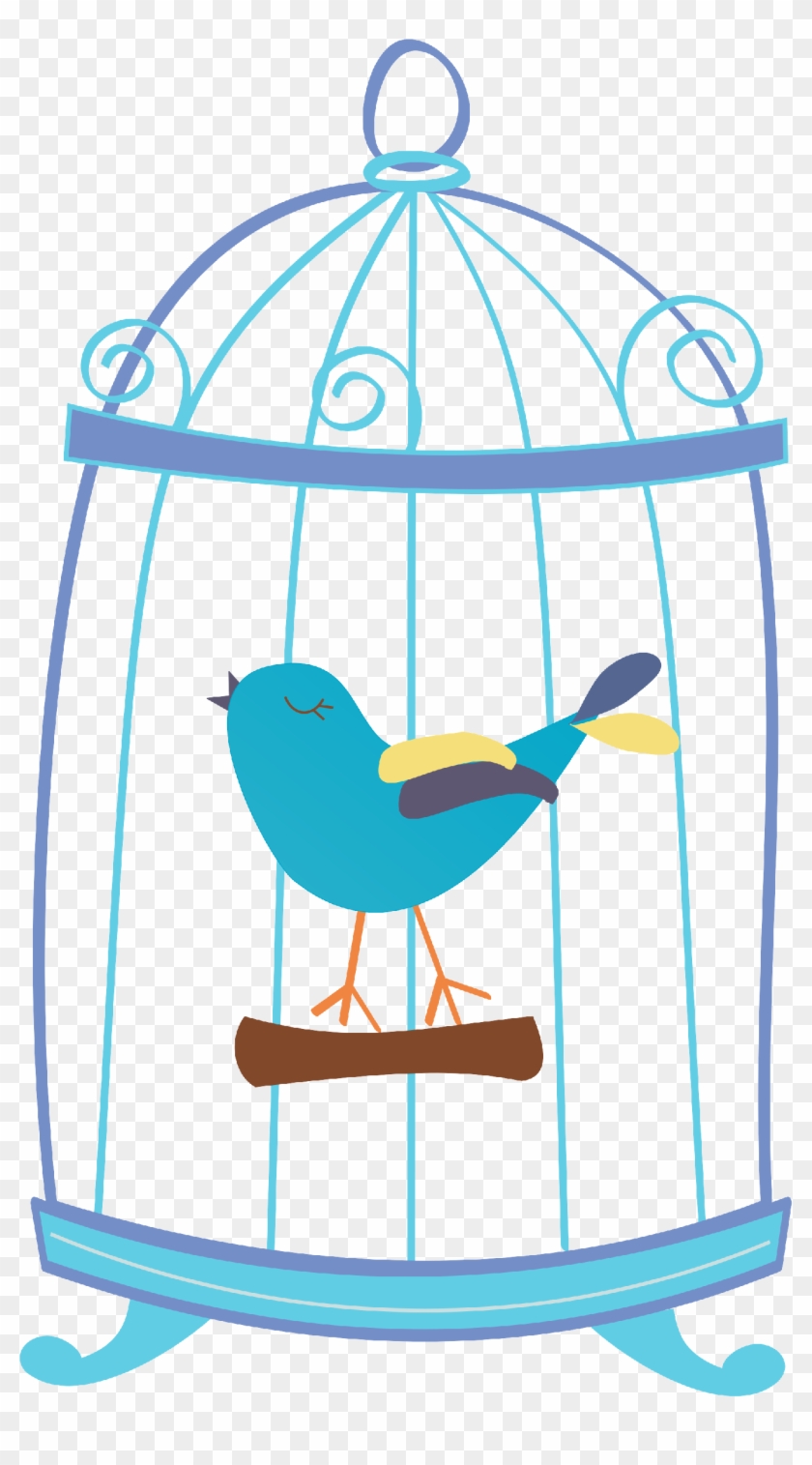 Birdcage6 - Birdcage6 #290421