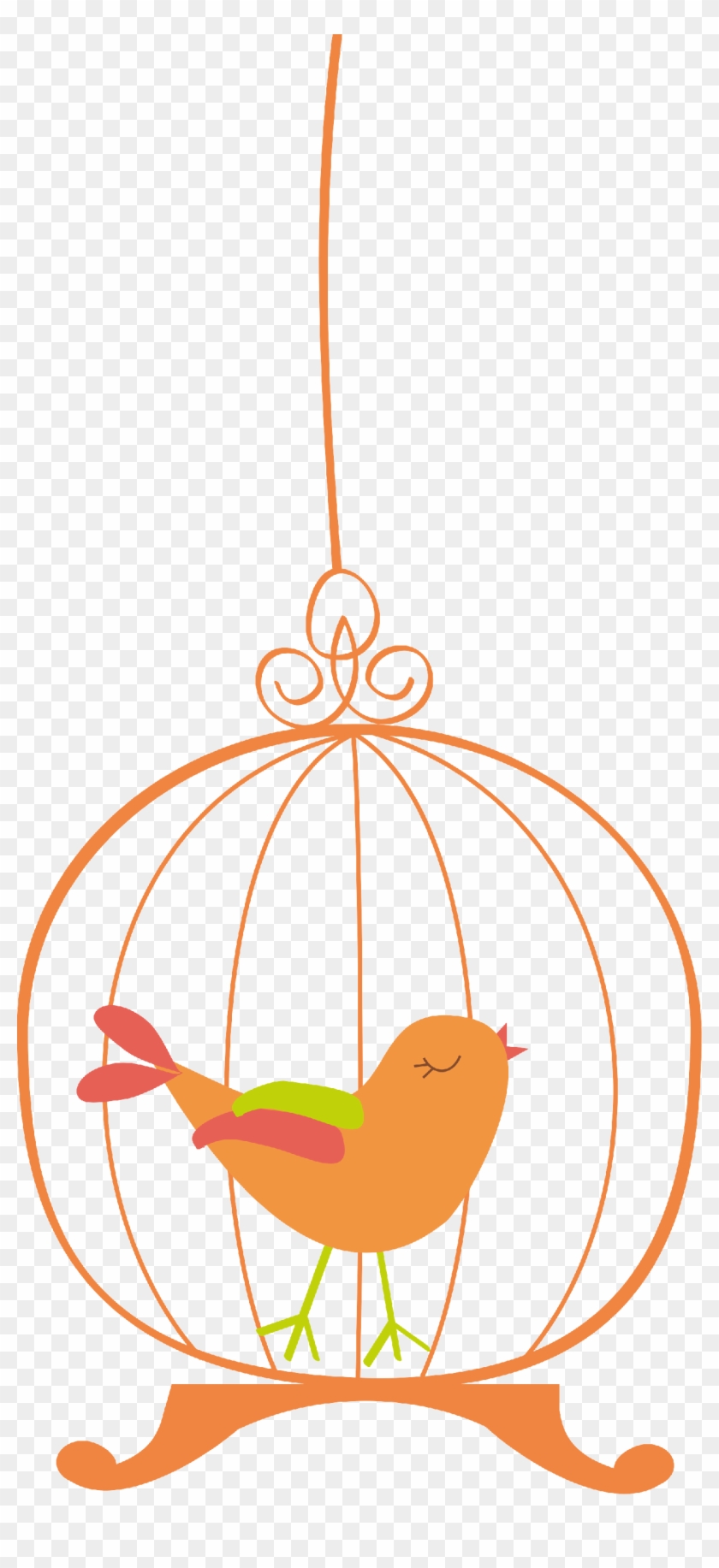 Birdcage5 - Birdcage5 #290447