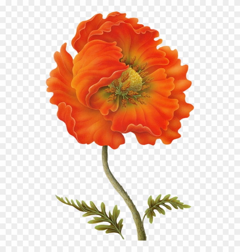 Яндекс - Фотки - Dibujos De Flores Naranja Para Decoupage #291239
