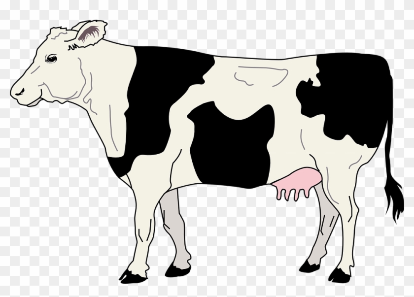 Animated Cow Pictures 18, Buy Clip Art - Black And White Cow Clipart #291347