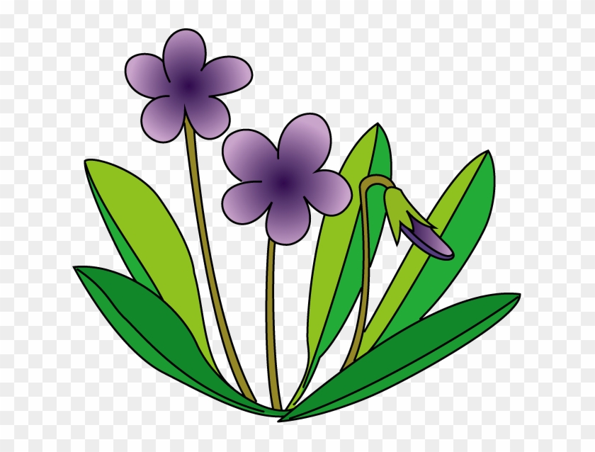 Violet Flower Clip Art - イラスト すみれ #291801