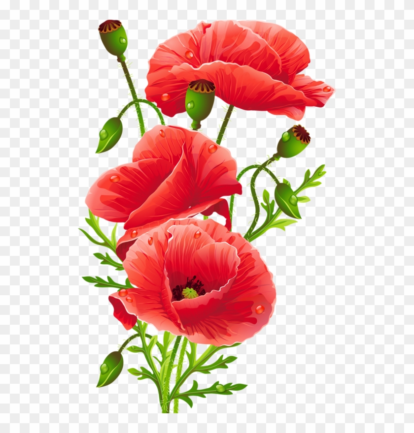 Flower Bouquet Common Poppy Floristry - Artistic Red Poppies Shower Curtain #292147